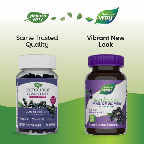 Nature’s Way Sambucus Immune Elderberry with Zinc Vitamins C D3 Gummies Perspective: back
