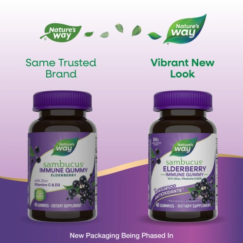 Nature’s Way Sambucus Immune Elderberry with Zinc Vitamins C D3 Gummies Perspective: back