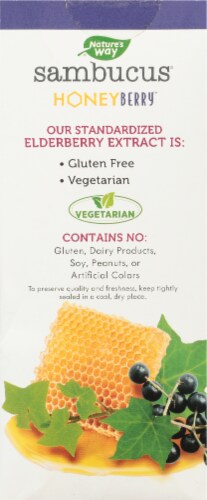Nature's Way® Sambucus® Honey Berry™ Night Time Cough Syrup Perspective: back