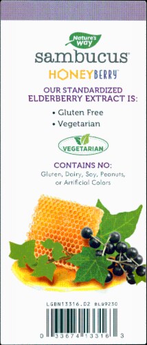 Nature's Way® Sambucus Honey Berry Kids' Nighttime Cough Syrup Perspective: back