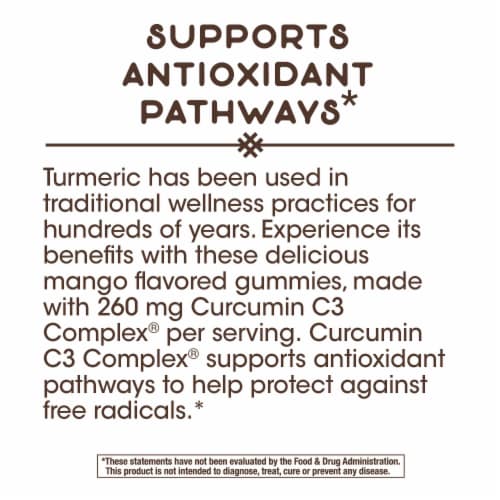 Nature's Way Mango Flavored Turmeric Ginger Gummies Perspective: back