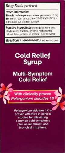Nature's Way® Umcka® Cherry Flavor Cold Relief Syrup Perspective: back