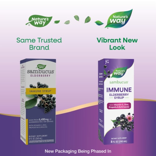 Nature's Way Sambucus Immune Elderberry With Vitamin C Zinc Echinacea Propolis Immune Support Syrup Perspective: back