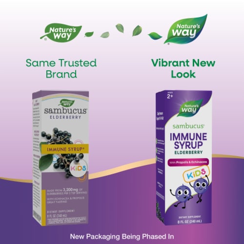 Nature's Way Sambucus for Kids Elderberry Syrup Perspective: back