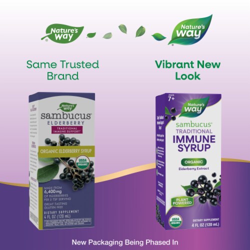 Nature's Way Sambucus Traditional Immune Elderberry with Organic Black Elderberry Extract Syrup Perspective: back