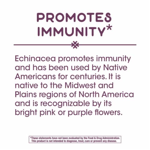 Nature's Way® Echinacea Root Complex Dietary Supplement Vegan Capsules 900mg Perspective: back