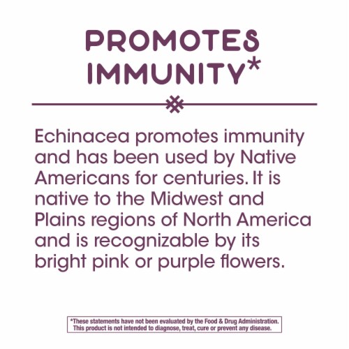 Nature's Way® Echinacea Root Complex Dietary Supplement Vegan Capsules 900mg Perspective: back