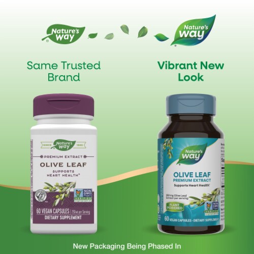 Nature's Way Olive Leaf Premium Extract Supports Heart Health Capsules 250 mg Per Serving Perspective: back