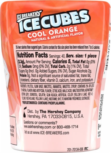 Ice Breakers Holiday Ice Cubes Cool Orange Sugar Free Gum Perspective: back