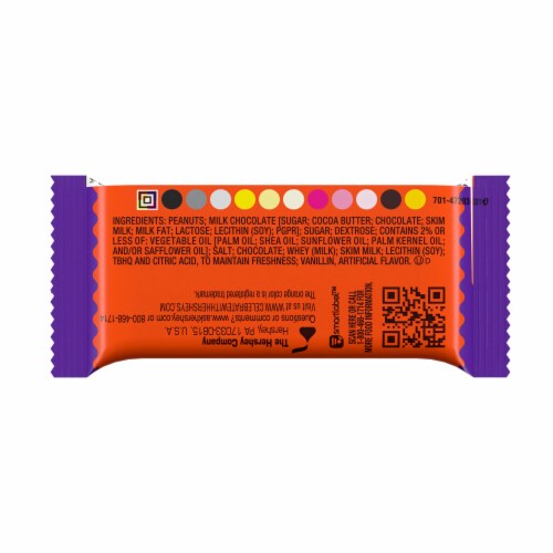 REESE'S Milk Chocolate Peanut Butter Pumpkins Halloween Candy Pack Perspective: back