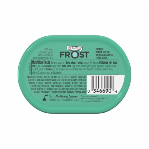 Ice Breakers Frost Wintercool Mints Perspective: back