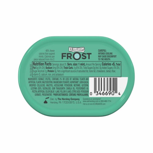 Ice Breakers Frost Wintercool Mints Perspective: back