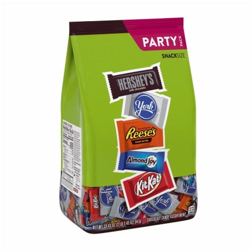 Hershey Assorted Chocolate Flavored Snack Size Candy Party Pack Perspective: back