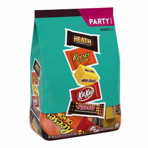 Hershey Assorted Flavored Snack Size Candy Party Pack Perspective: back