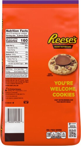 Reese's Peanut Butter Cups Snack Size Chocolate Candy Bag Perspective: back