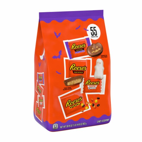 REESE'S Assorted Flavored Snack Size Peanut Butter Halloween Candy Bag Perspective: back