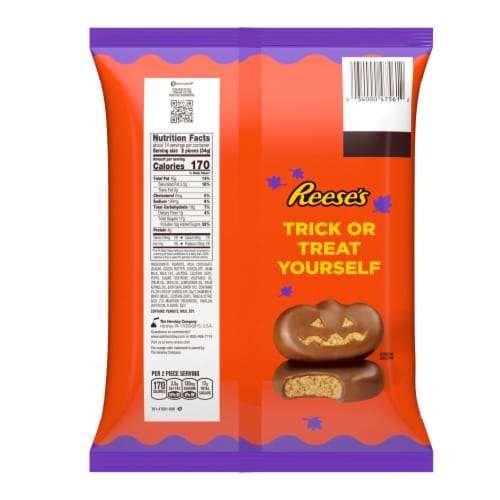 REESE'S Milk Chocolate Peanut Butter Snack Size Pumpkins Halloween Candy Jumbo Bag Perspective: back