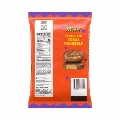 REESE'S Milk Chocolate Peanut Butter Snack Size Halloween Candy Bag Perspective: back