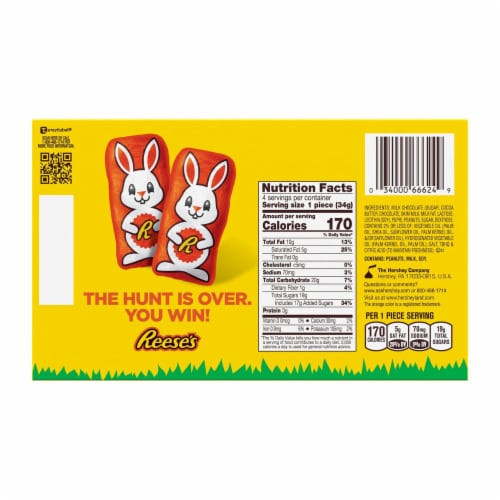 REESE'S Milk Chocolate Peanut Butter Creme Easter Bunny Candy Perspective: back