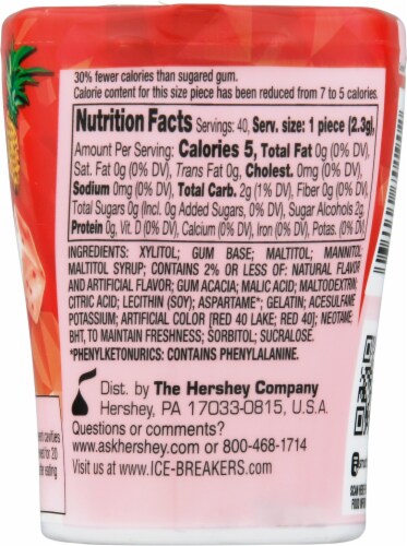 Ice Breakers Holiday Ice Cubes Fruit Punch Sugar Free Gum Perspective: back
