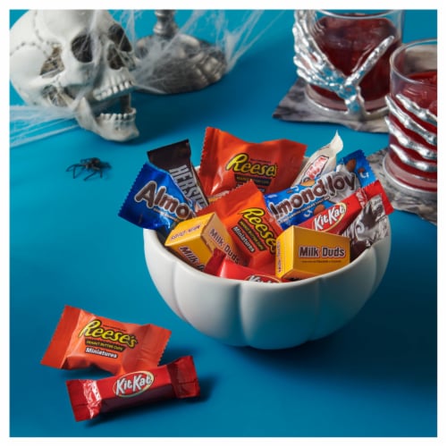 Hershey All Time Greats Miniatures Chocolate Assortment Candy Halloween Variety Bag Perspective: back