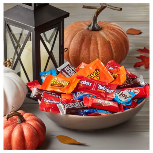 Hershey Assorted Chocolate Peanut Butter Fruit Flavored Snack Size Candy Halloween Perspective: back