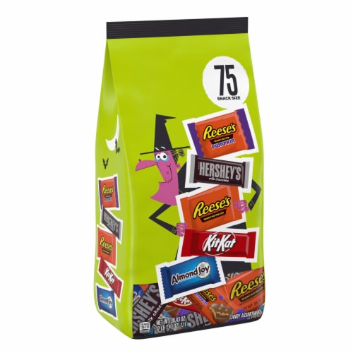 Hershey Assorted Flavored Snack Size Halloween Candy Bulk Bag Perspective: back