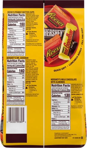 HERSHEY'S and REESE'S Assorted Chocolate Flavored Snack Size Halloween Candy Party Pack Perspective: back