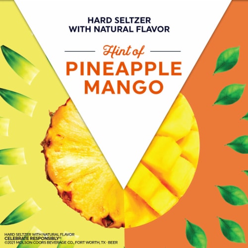 Vizzy Pineapple Mango Gluten Free Hard Seltzer Perspective: back