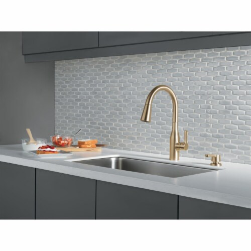 Delta Delta Marca Pd Faucet 19780Z-CZSD-DST Perspective: back