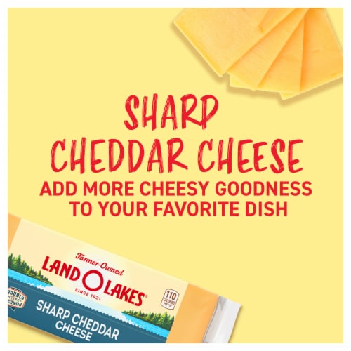 Land O Lakes® Sharp Cheddar Cheese Block Perspective: back