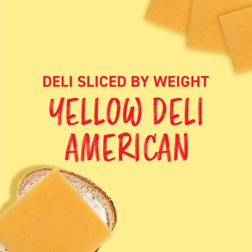 Land O Lakes® Yellow Deli American Cheese Product Perspective: back