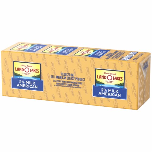 Land O Lakes® 2% Milk Reduced Fat Yellow Deli American Cheese Product Perspective: back