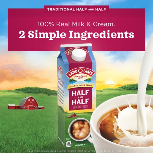 Land O Lakes Traditional Half And Half Carton Perspective: back
