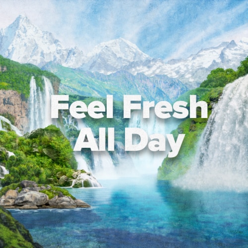 Irish Spring Aloe Mist Deodorant Bar Soap Perspective: back