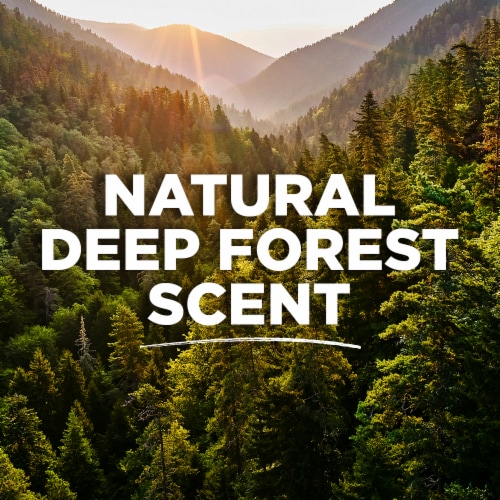 Tom's of Maine Long-Lasting Aluminum-Free Natural Deodorant for Men Deep Forest Perspective: back