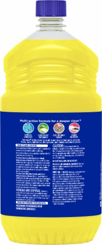 Fabuloso® Sparkling Citrus Antibacterial Multi-Purpose Cleaner Perspective: back