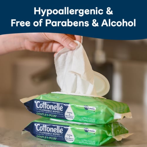 Cottonelle GentlePlus Flushable Wet Wipes with Aloe & Vitamin E Flip-Top Packs Adult Wet Wipes Perspective: back