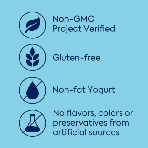 Dannon® Plain Nonfat Yogurt Tub Perspective: back