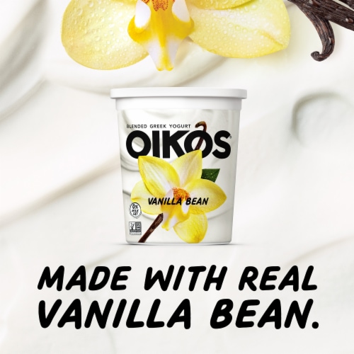 Oikos Vanilla Bean Nonfat Blended