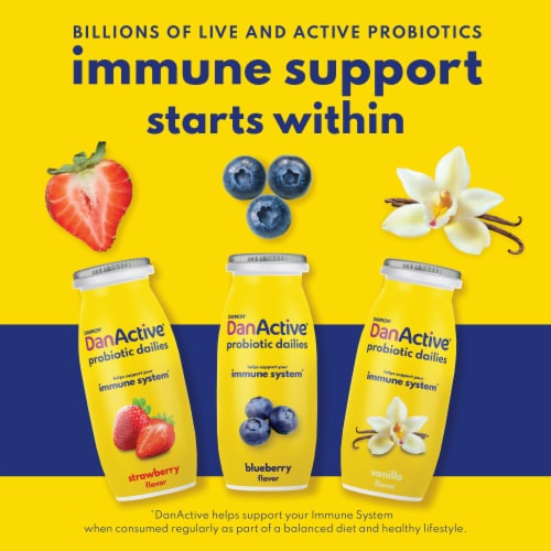 DanActive Probiotic Dailies Blueberry and Strawberry Low Fat Yogurt Drinks Perspective: back