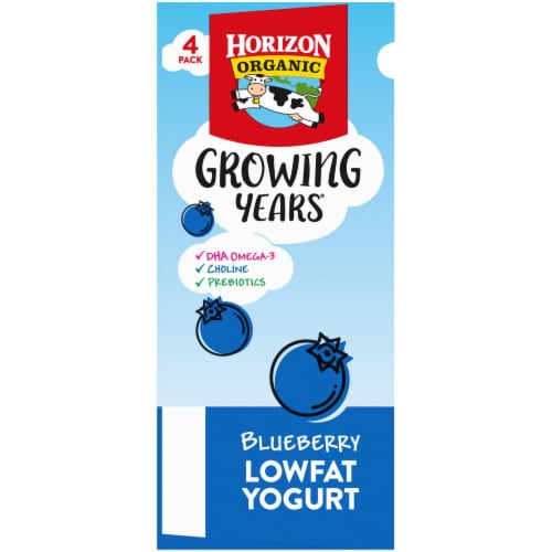 Horizon Organic® Blueberry Kids Lowfat Yogurt Pouches Perspective: back