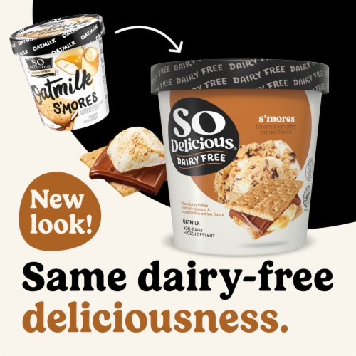 So Delicious Dairy Free S’mores Oat Milk Frozen Dessert Carton Perspective: back