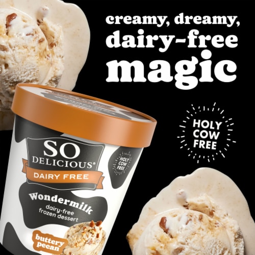 So Delicious Frozen Wondermilk Butter Pecan Dairy Free Ice Cream Perspective: back