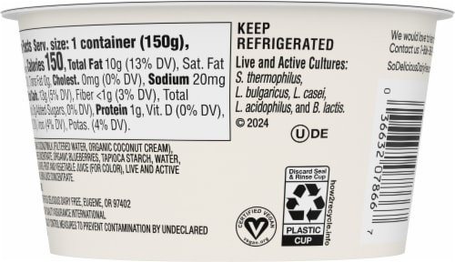 SO Delicious® Dairy Free Blueberry Coconut Milk Yogurt Perspective: back