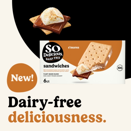 So Delicious Dairy Free S'mores Plant Based Blend Frozen Dessert Sandwiches Perspective: back
