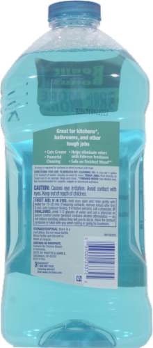 Mr. Clean Meadows & Rain Multi-Surface Cleaner Perspective: back
