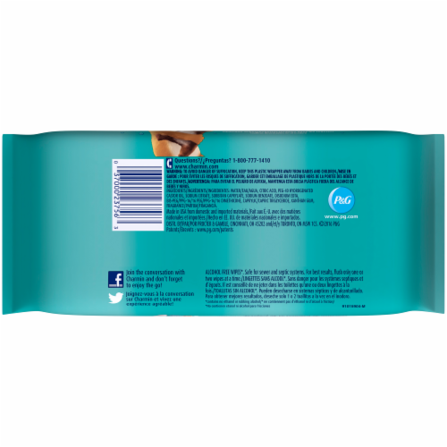 Charmin Freshmates Flushable Wipes Perspective: back