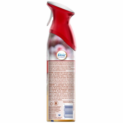 Febreze Air Effects Cranberries & Frost Spray Perspective: back