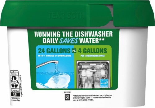 Cascade® Free & Clear Lemon Essence Dishwasher Detergent ActionPacs Perspective: back